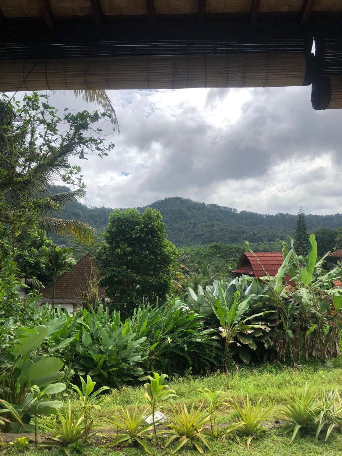 D'Janu Homestay Sidemen  Buitenkant foto