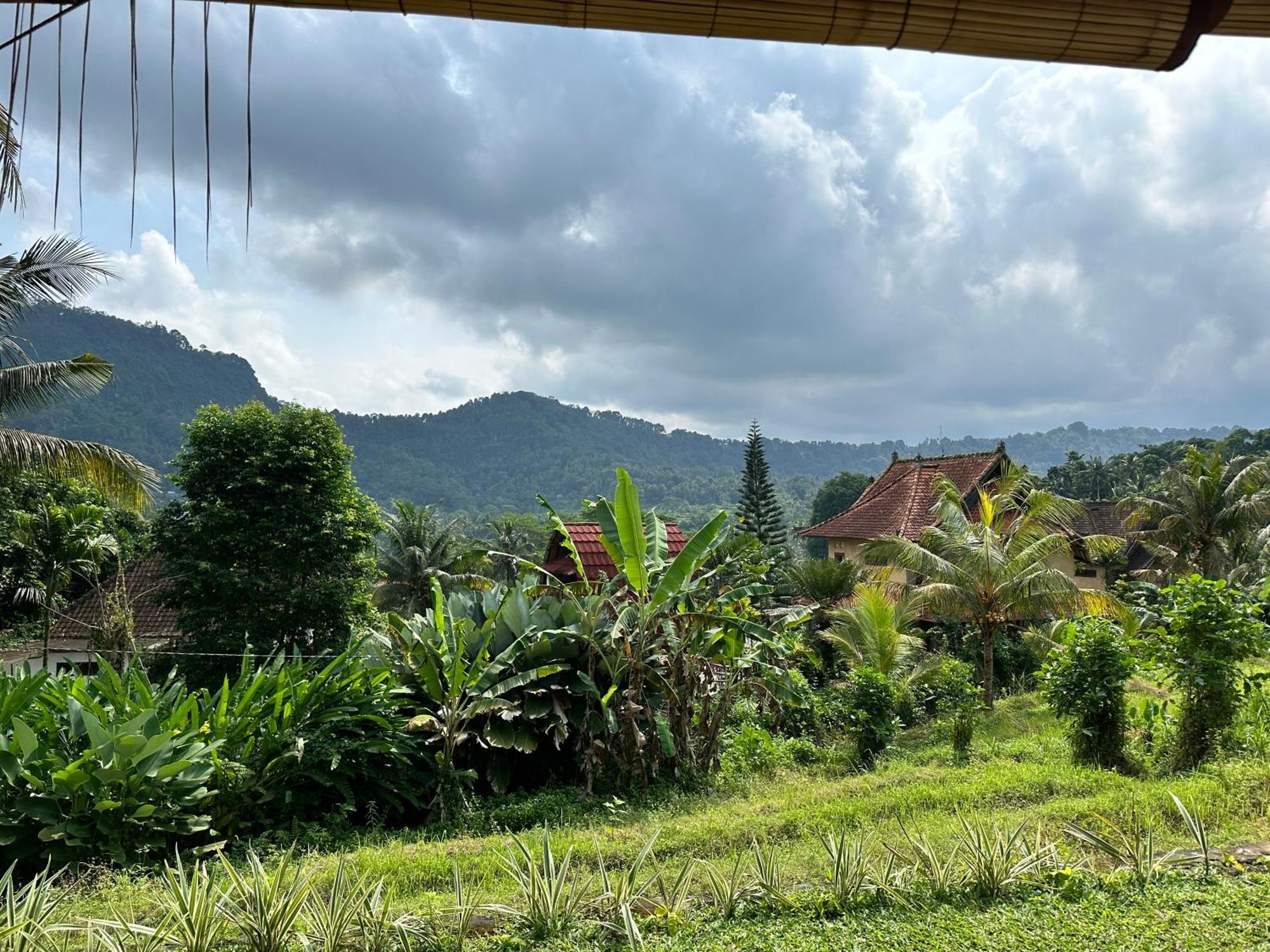 D'Janu Homestay Sidemen  Buitenkant foto