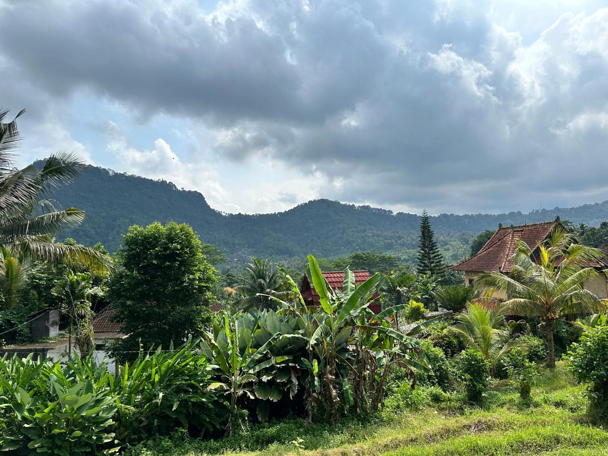D'Janu Homestay Sidemen  Buitenkant foto